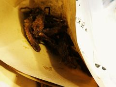 -降龙爪爪(建设路2店)