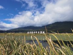 -腾冲北海湿地
