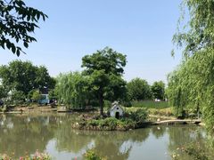 -鹅湖玫瑰文化园