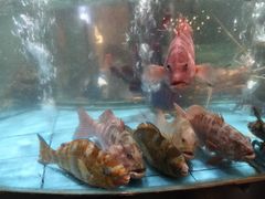-观澜湖酒店·邀月庭中餐厅