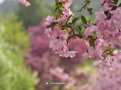 -国家植物园