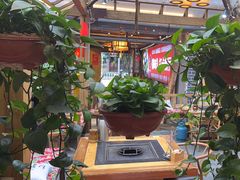 -有一锅·野生菌黑山羊腊排骨火锅(古城北门店)