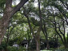 -上海醉白池公园