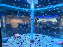 -海合安成都极地海洋公园