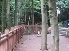 -广州市帽峰山景区