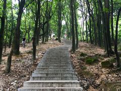 -火炉山森林公园