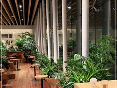 -Seesaw Coffee(朝阳大悦城店)