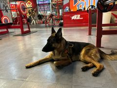 -KingBull私教健身&格斗订制(龙井商业中心店)