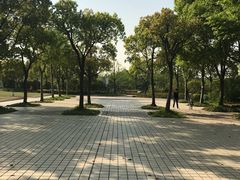 -新江湾城公园