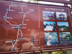 -大岭沟猕猴桃谷风景区