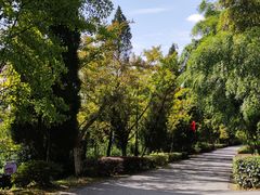 -九龙潭景区