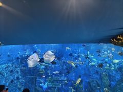 -横店影视城梦幻谷园区