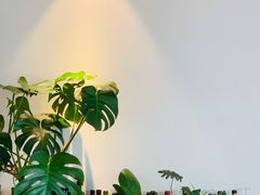 -fishtank鱼缸咖啡(三山街店)