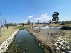 -洱海月湿地公园