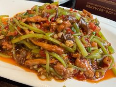 -陈麻婆豆腐总店