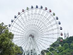 -温州乐园
