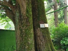 -径山寺