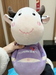 -上海玫瑰医疗美容医院