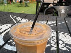 -春风习习