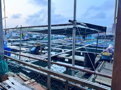 -蓝湾碧波·老字号·疍家非遗海上餐厅