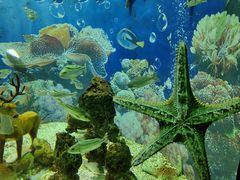 -海合安成都极地海洋公园