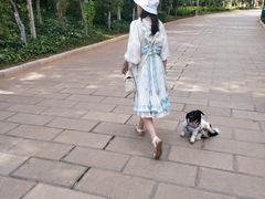 -洛龙公园