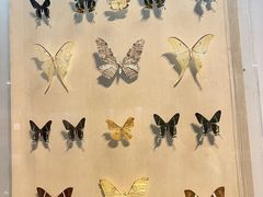 -陕西自然博物馆