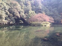 九溪烟树-九溪烟树