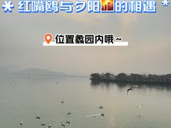 -无锡蠡湖国家湿地公园-蠡园