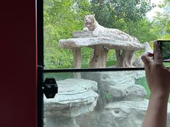 -北京野生动物园