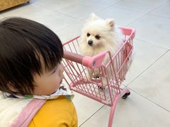 -怪兽屋·羊驼·猫咖·狗咖(俊华广场店)