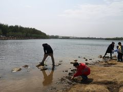 -丁香湖公园
