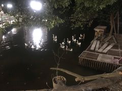-水库河鲜村