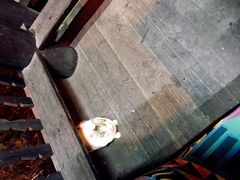 -阿谋美食·广西菜