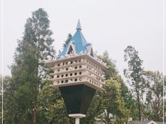 -泉城广场