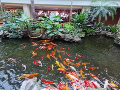-白天鹅宾馆·流浮阁咖啡厅