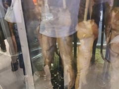 -一代烤翅王(大汉口店)