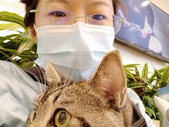 -美联众合动物医院·24h转诊中心