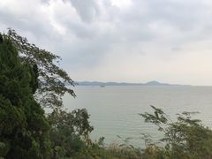 -上海市保健医疗中心(华东疗养院)