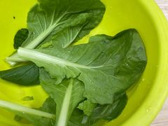 -武陟虹兴砂锅(普庆路店)