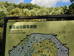 -莲花山公园