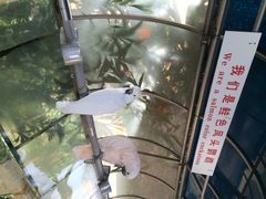 iphone_upload_pic-百鸟园