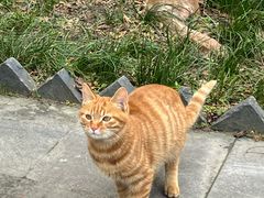 -南通博物苑-崇川人民公园