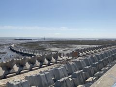 -南汇嘴观海公园