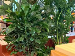 -客临百思德·东北特色馆(龙湖时代天街店)