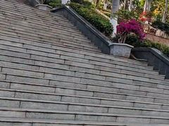 -攀枝花公园