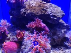 -青岛海底世界-水族馆