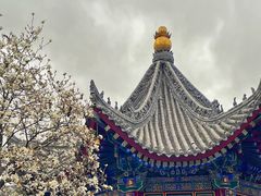 -西安市广仁寺