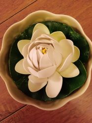 -TIME SPA科技美肤机构