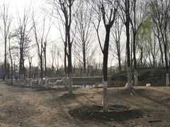 -东郊湿地公园